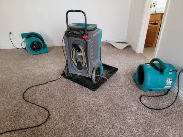 Best Mold removal after water damage  in Gholson, TX