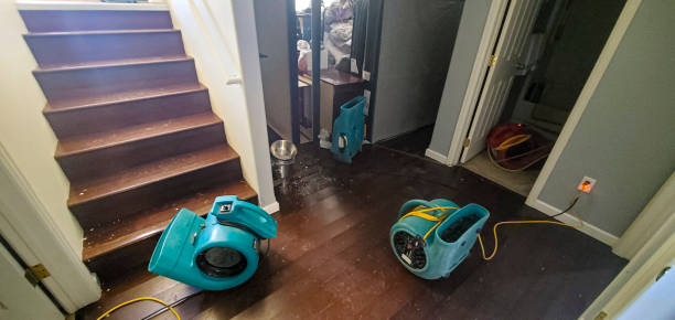 Best Local water damage restoration  in Gholson, TX