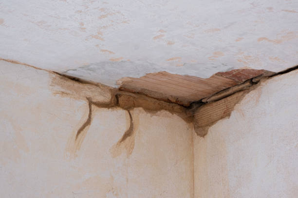 Best Residential water damage restoration  in Gholson, TX