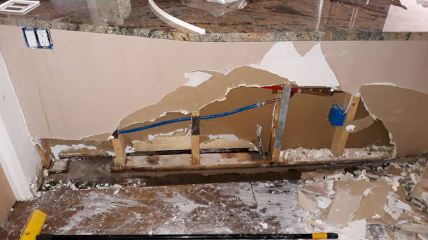 Best Water damage restoration mold remediation  in Gholson, TX