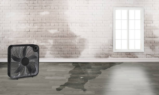 Best Fire Damage Restoration  in Gholson, TX