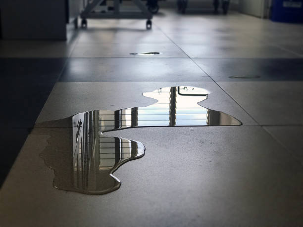 Best Commercial water damage restoration  in Gholson, TX