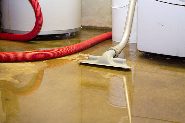 Best Water damage repair service  in Gholson, TX