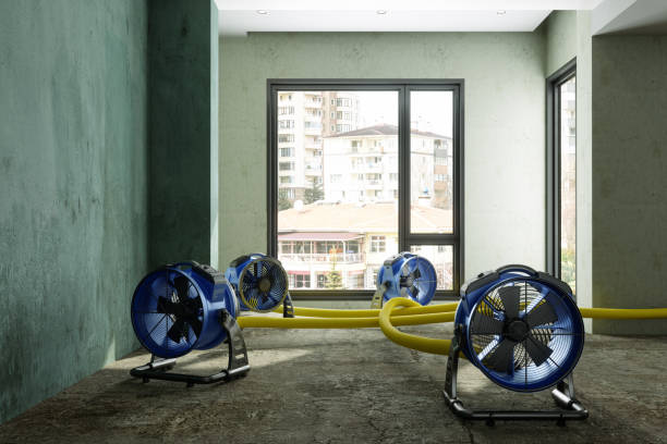 Best 24-hour water damage restoration  in Gholson, TX