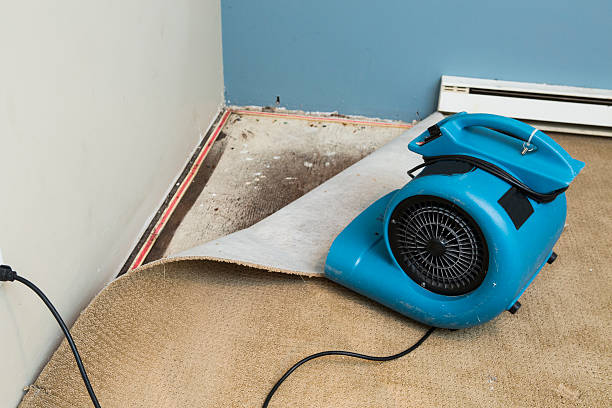 Best Emergency water damage restoration  in Gholson, TX